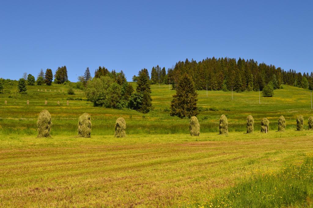 Montenero Resort&Spa Czarna Gora Bagian luar foto